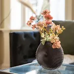 Living بيت شباب