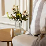 بيت شباب Living